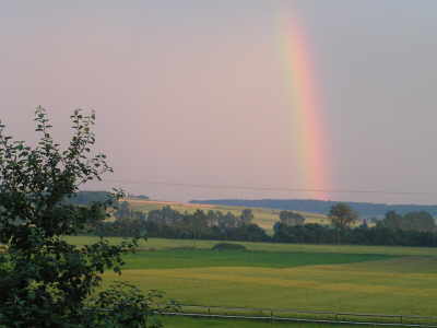 regenbogen