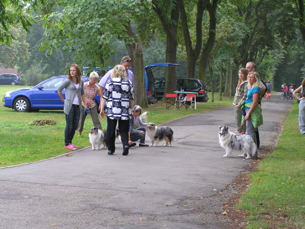 Sheltietreffen 2009-02