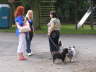 Sheltietreffen 2009-03