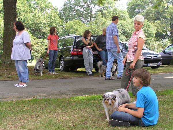 Sheltietreffen 2009-07