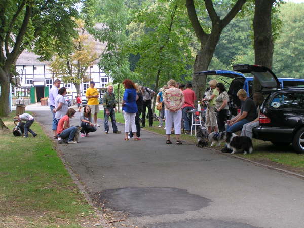 Sheltietreffen 2009-08