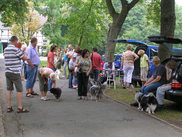 Sheltietreffen 2009-09