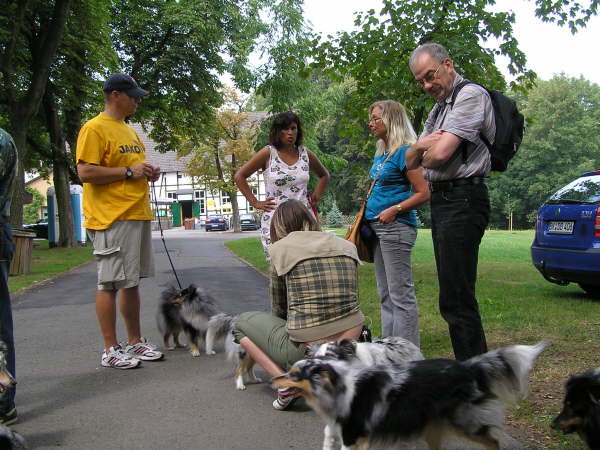 Sheltietreffen 2009-10