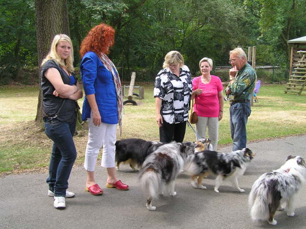 Sheltietreffen 2009-11