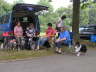 Sheltietreffen 2009-14