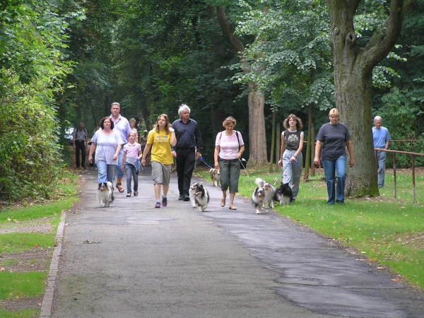 Sheltietreffen 2009-15