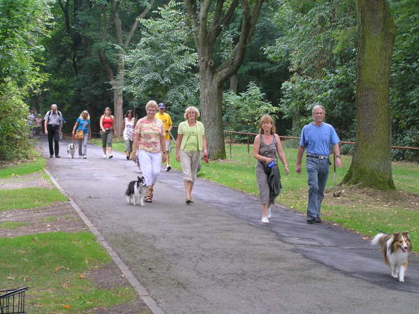 Sheltietreffen 2009-16