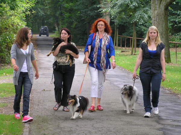 Sheltietreffen 2009-19