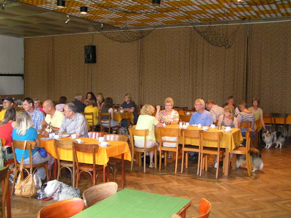 Sheltietreffen 2009-24