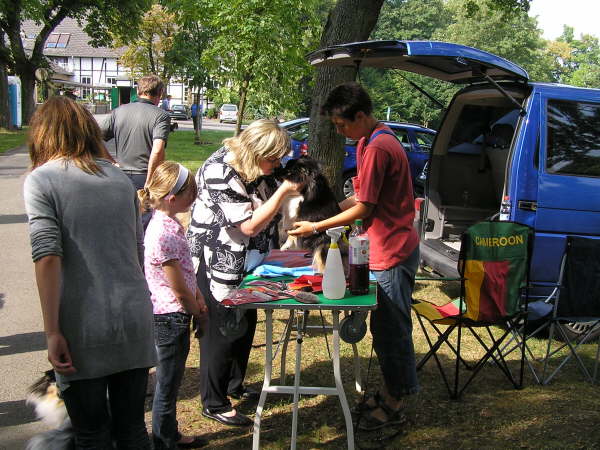 Sheltietreffen 2009-26