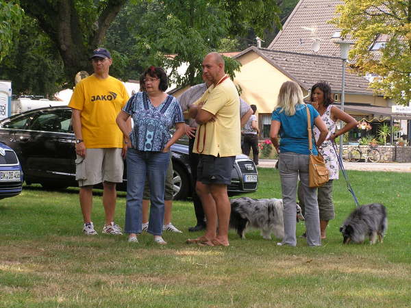 Sheltietreffen 2009-31