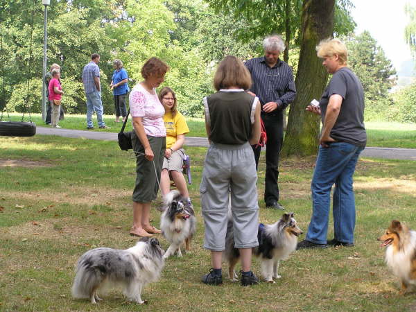 Sheltietreffen 2009-33