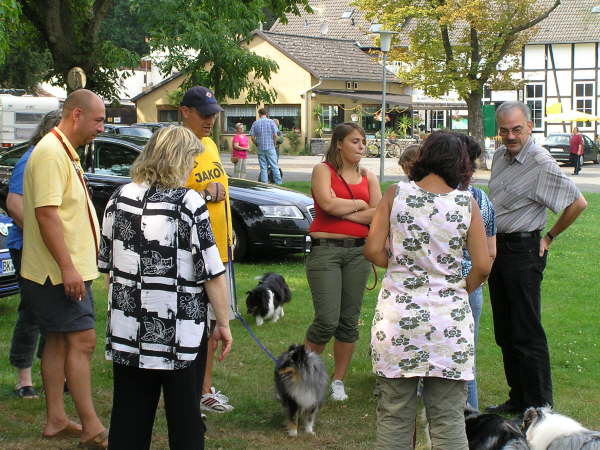 Sheltietreffen 2009-35