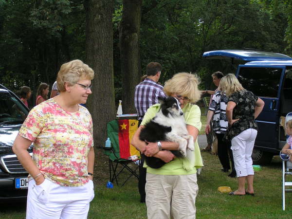 Sheltietreffen 2009-39