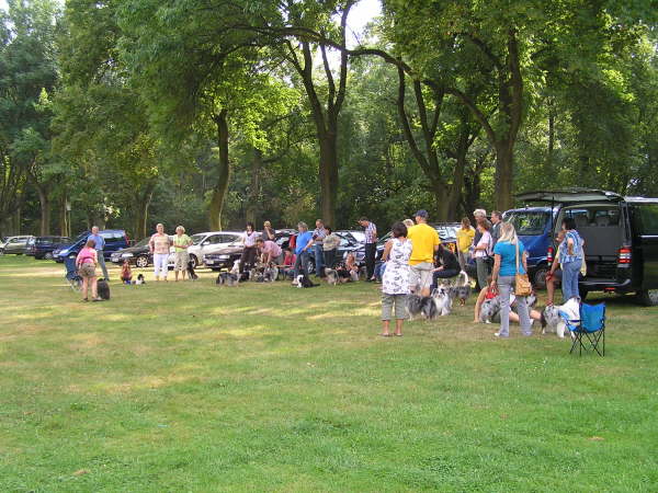 Sheltietreffen 2009-41