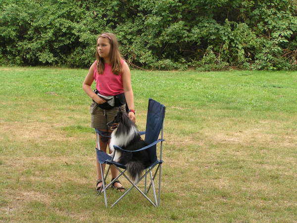 Sheltietreffen 2009-42