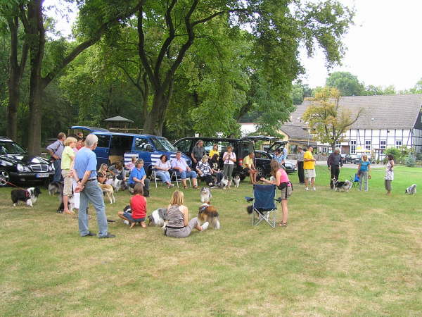 Sheltietreffen 2009-43