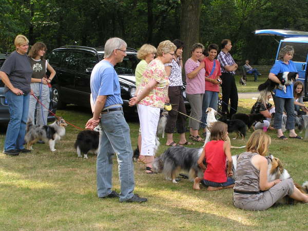 Sheltietreffen 2009-44