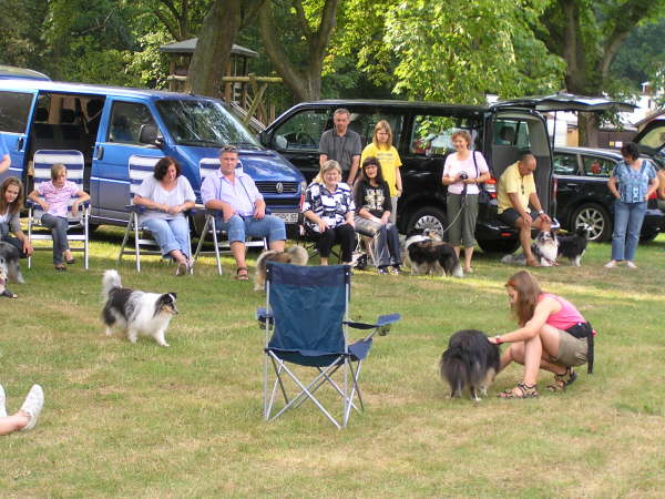 Sheltietreffen 2009-45