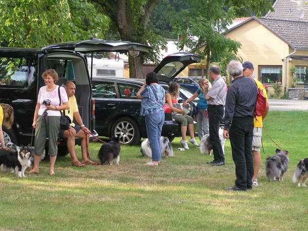 Sheltietreffen 2009-46