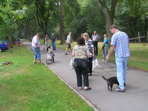 Sheltietreffen 2009-51