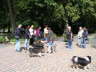 Sheltietreffen 2011-02