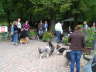 Sheltietreffen 2011-09