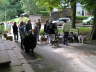 Sheltietreffen 2011-19