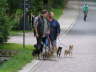 Sheltietreffen 2011-21