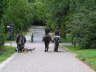 Sheltietreffen 2011-22