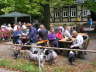 Sheltietreffen 2011-28