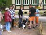 Sheltietreffen 2011-48