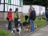 Sheltietreffen_2012_02