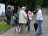 Sheltietreffen_2012_03