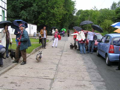 Sheltietreffen_2012_04