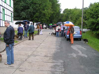 Sheltietreffen_2012_05