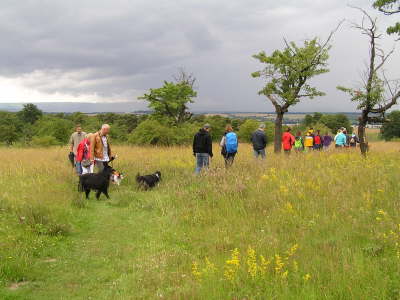 Sheltietreffen_2012_09