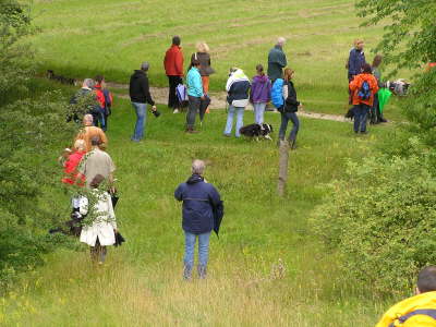 Sheltietreffen_2012_11