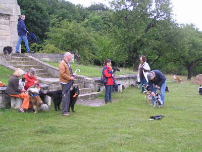 Sheltietreffen_2012_16