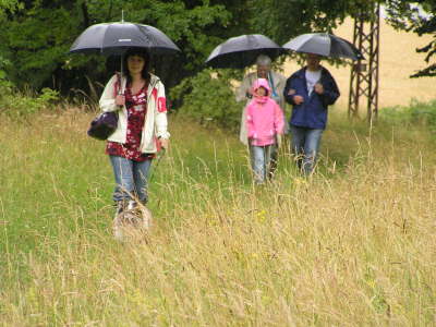 Sheltietreffen_2012_18