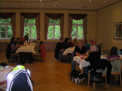 Sheltietreffen_2012_20