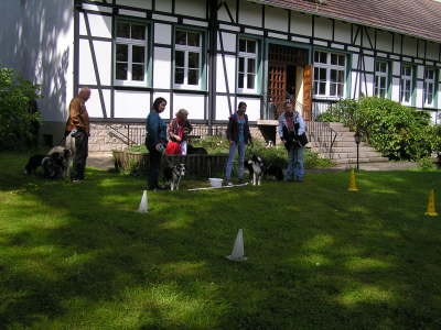 Sheltietreffen_2012_26