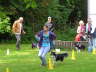 Sheltietreffen_2012_27