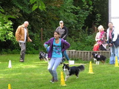 Sheltietreffen_2012_27