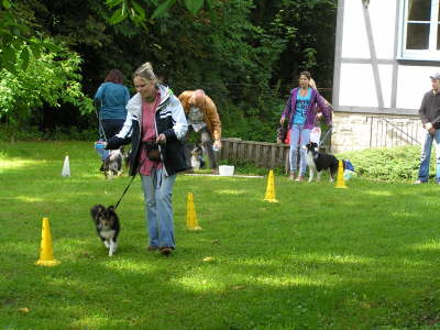 Sheltietreffen_2012_28