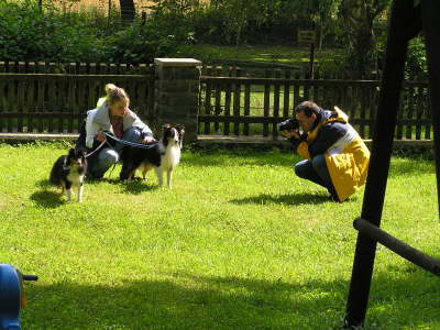 Sheltietreffen_2012_32