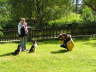 Sheltietreffen_2012_33