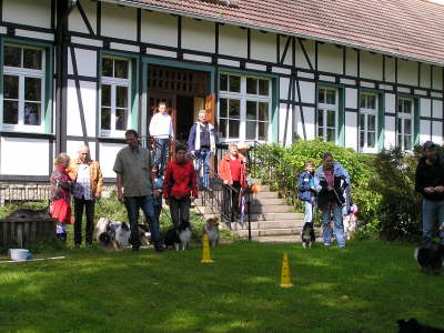 Sheltietreffen_2012_35