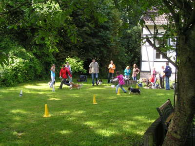 Sheltietreffen_2012_37