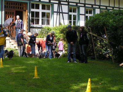 Sheltietreffen_2012_39